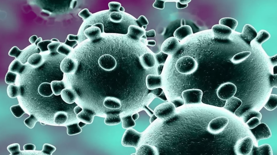 كيف تقوى مناعة طفلك ضد فيروس كورونا