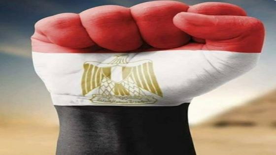 مصر تقود العالم