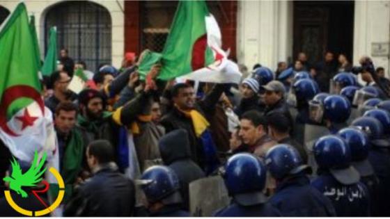إصابة 13 شخصا في احتجاجات بالجزائر 