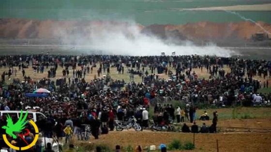 الاحتلال يصيب 65 فلسطينيا شرقي غزة