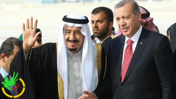 التوازن التركي للخليج العربي