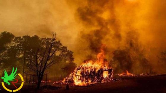 حرائق الغابات في جنوب السودان